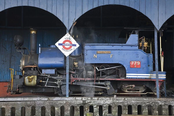 India, West Bengal, Darjeeling, Darjeeling Train station, Steam Toy Train