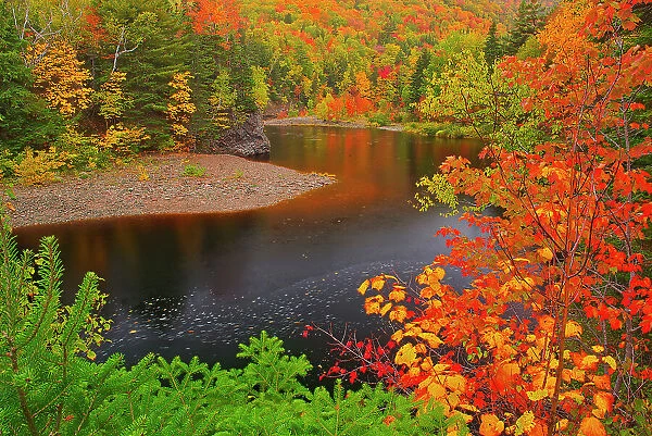 Indian Brook and the Acadian forest in autumn foliage Indian Brook, Nova Scotia, Canada Indian Brook, Nova Scotia, Canada
