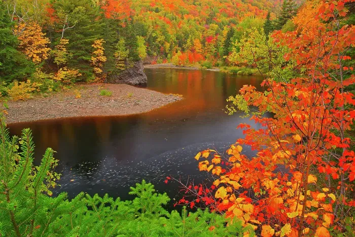 Framed Print : Indian Brook and the Acadian forest in autumn foliage Indian Brook, Nova Scotia, Canada Indian Brook, Nova Scotia, Canada Framed Print : Indian Brook and the Acadian forest in autumn foliage Indian Brook, Nova Scotia, Canada Indian Brook, Nova Scotia, Canada