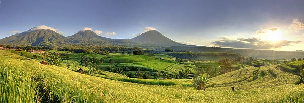 Indonesia, Bali, Central Mountains, Jatiluwih Rice Fields (UNESCO Site) with Mt Batukau