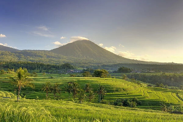 Indonesia, Bali, Central Mountains, Jatiluwih Rice Fields (UNESCO Site) with Mt