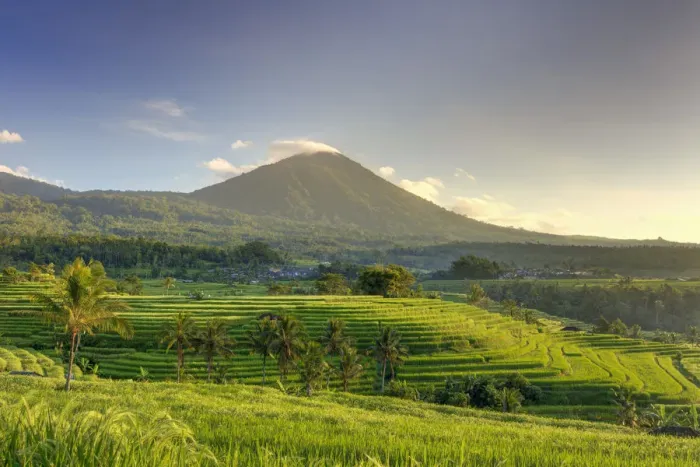 Framed Print : Indonesia, Bali, Central Mountains, Jatiluwih Rice Fields (UNESCO Site) with Mt Framed Print : Indonesia, Bali, Central Mountains, Jatiluwih Rice Fields (UNESCO Site) with Mt