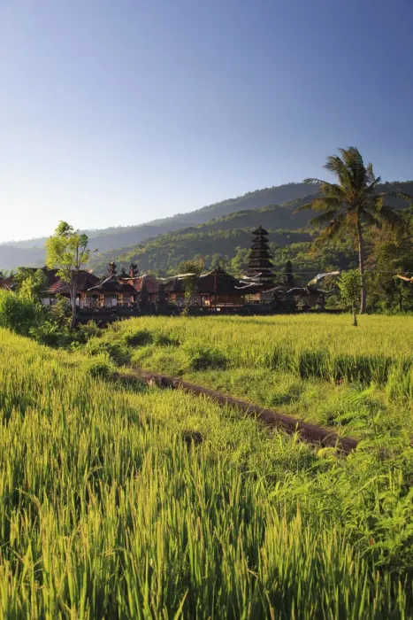 Framed Print : Indonesia, Bali, East Bali, Amed, Rice Fields and small temple Framed Print : Indonesia, Bali, East Bali, Amed, Rice Fields and small temple