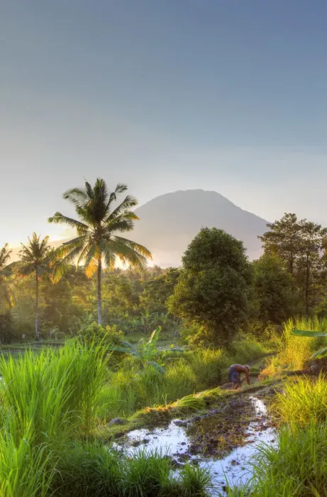 Framed Print : Indonesia, Bali, East Bali, Amlapura, Rice Fields and Gunung Agung Volcano Framed Print : Indonesia, Bali, East Bali, Amlapura, Rice Fields and Gunung Agung Volcano