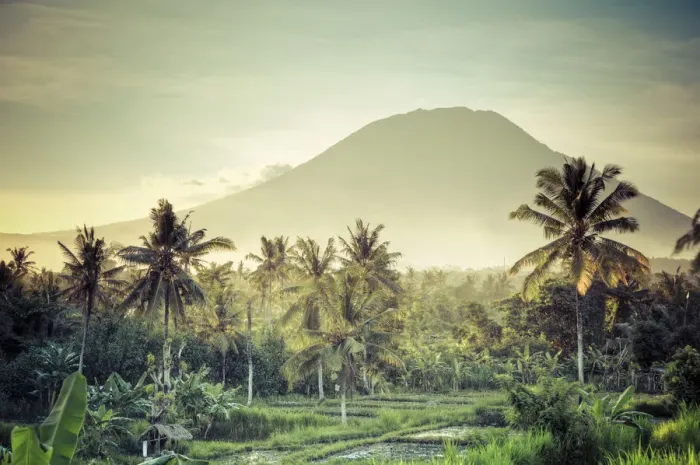 Framed Print : Indonesia, Bali, East Bali, Amlapura, Rice Fields and Gunung Agung Volcano
