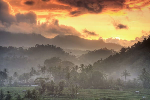 Indonesia, Bali, forest landscape on the slopes of Gunung Agung Volcano
