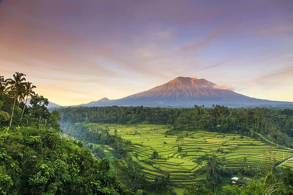 Indonesia, Bali, Redang, View of Rice Terraces and Gunung Agung Volcano