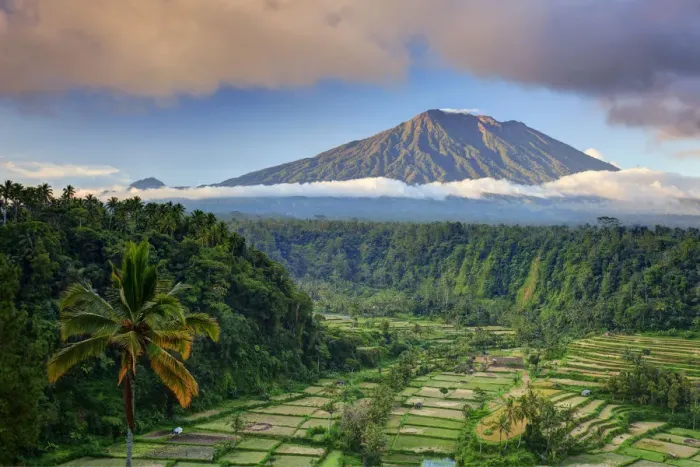 Framed Print : Indonesia, Bali, Rendang Rice Terraces and Gunung Agung Volcano Framed Print : Indonesia, Bali, Rendang Rice Terraces and Gunung Agung Volcano