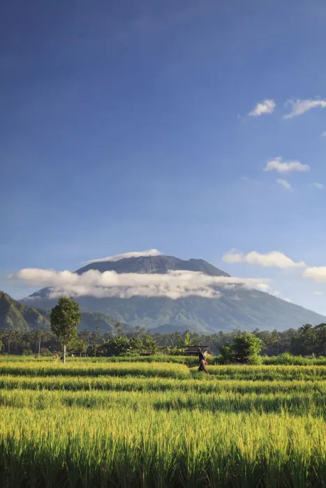 Framed Print : Indonesia, Bali, Rice Terraces and Gunung Agung Volcano