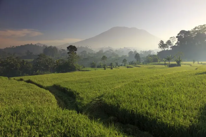Framed Print : Indonesia, Bali, Sidemen, Iseh, Rice Fields and Gunung Agung Volcano Framed Print : Indonesia, Bali, Sidemen, Iseh, Rice Fields and Gunung Agung Volcano