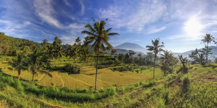 Framed Print : Indonesia, Bali, Sidemen, Rice Fields and Gunung Agung Volcano