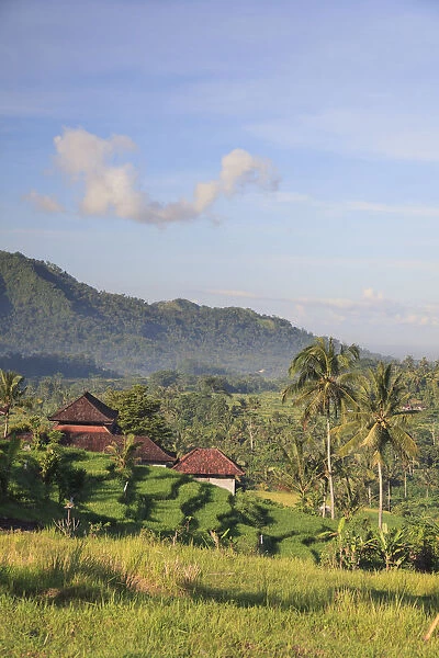 Indonesia, Bali, Sidemen Rice Terraces and Mountain Landscape