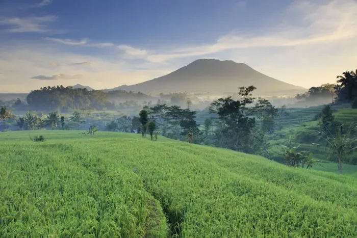 Framed Print : Indonesia, Bali, Sidemen Valley, Iseh, Rice Fields and Gunung Agung Volcano Framed Print : Indonesia, Bali, Sidemen Valley, Iseh, Rice Fields and Gunung Agung Volcano