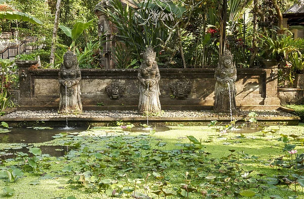 Indonesia, Bali, Ubud, Fountain; Lotus pond