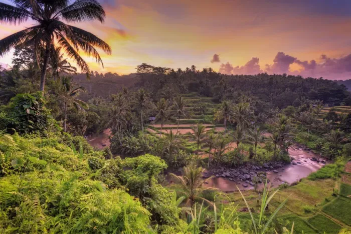 Framed Print : Indonesia, Bali, Ubud, Sayan Valley and Ayung River Framed Print : Indonesia, Bali, Ubud, Sayan Valley and Ayung River