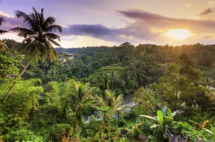 Framed Print : Indonesia, Bali, Ubud, Sayan Valley and Ayung River Framed Print : Indonesia, Bali, Ubud, Sayan Valley and Ayung River