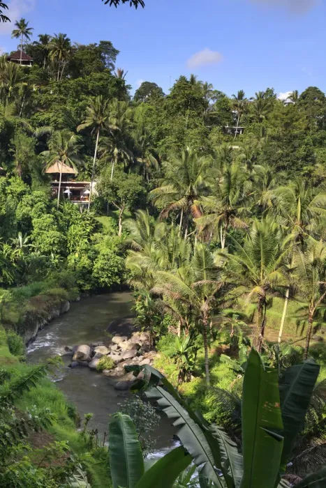 Framed Print : Indonesia, Bali, Ubud, Sayan Valley and Ayung River Framed Print : Indonesia, Bali, Ubud, Sayan Valley and Ayung River