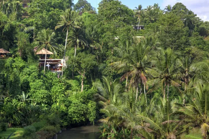 Framed Print : Indonesia, Bali, Ubud, Sayan Valley and Ayung River Framed Print : Indonesia, Bali, Ubud, Sayan Valley and Ayung River
