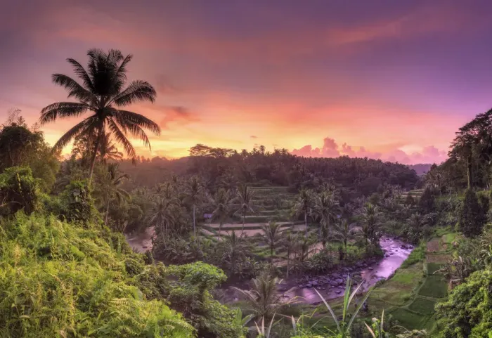 Framed Print : Indonesia, Bali, Ubud, Sayan Valley and Ayung River Framed Print : Indonesia, Bali, Ubud, Sayan Valley and Ayung River