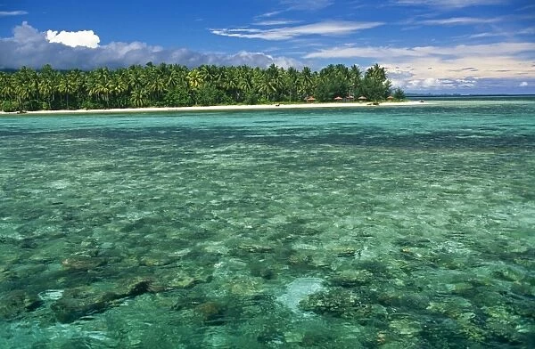 Indonesia, Sulawesi, Banggai Islands
