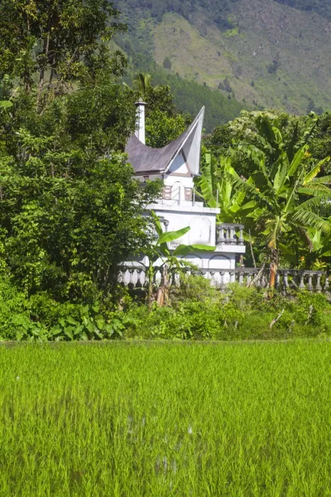 Framed Print : Indonesia, Sumatra, Samosir Island, Lake Toba, Tomb in Paddy field Framed Print : Indonesia, Sumatra, Samosir Island, Lake Toba, Tomb in Paddy field