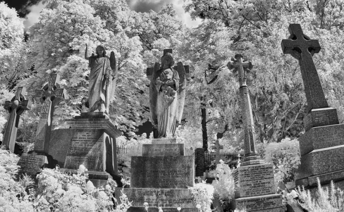 Framed Print : Infrared image of the graves in Highgate Cemetery, London, UK