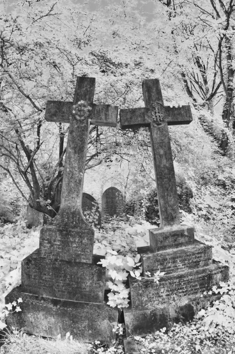 Framed Print : Infrared image of the graves in Highgate Cemetery, London, UK Framed Print : Infrared image of the graves in Highgate Cemetery, London, UK