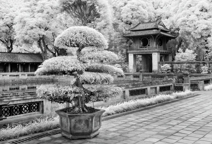 Framed Print : Infrared photograph, Temple of Literature, Hanoi, Vietnam Framed Print : Infrared photograph, Temple of Literature, Hanoi, Vietnam