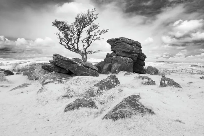 Framed Print : Infrared view of Emsworthy Rocks, Dartmoor National Park, Devon, England Framed Print : Infrared view of Emsworthy Rocks, Dartmoor National Park, Devon, England