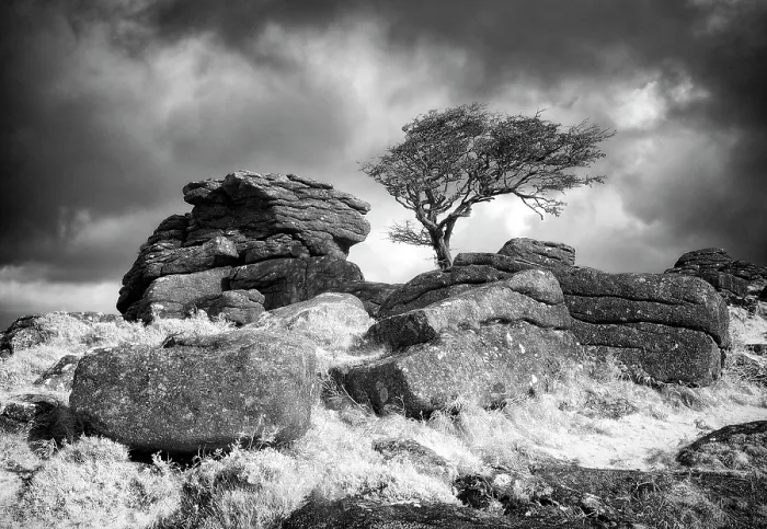 Framed Print : Infrared view of Emsworthy Rocks against a stormy sky, Dartmoor National Park, Devon, England Framed Print : Infrared view of Emsworthy Rocks against a stormy sky, Dartmoor National Park, Devon, England