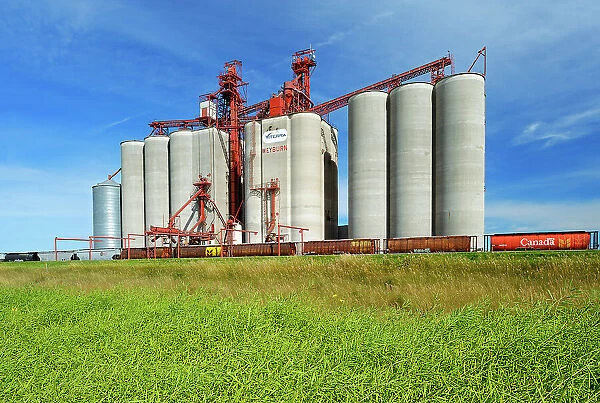 Inland grain terminal and train Weyburn, Saskatchewan, Canada
