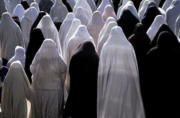 Iran, Shiraz. Women praying