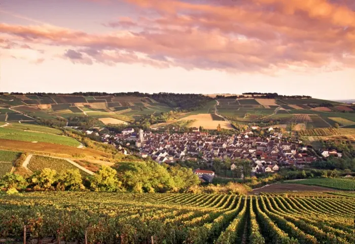 Framed Print : Irancy, Chablis Framed Print : Irancy, Chablis