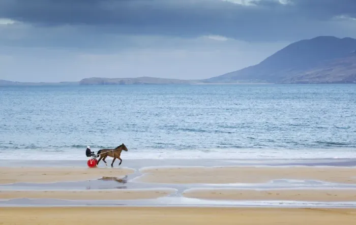 Framed Print : Ireland, Co. Donegal, Fanad, Ballymastoker bay, Man sitting on horse drawn sulky on beach