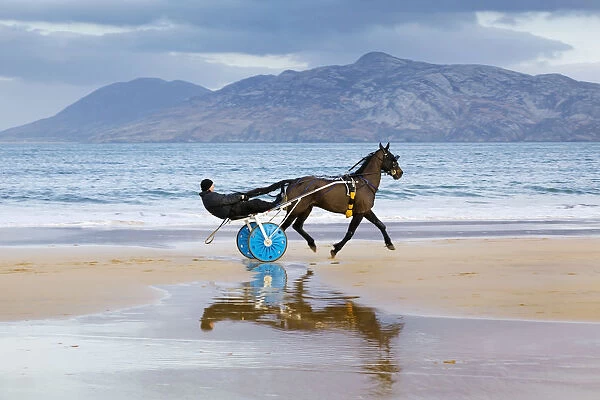 Ireland, Co. Donegal, Fanad, Ballymastoker bay, Man sitting on horse drawn sulky on beach