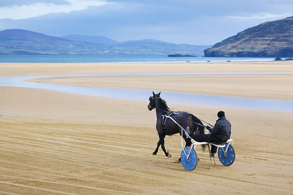 Ireland, Co. Donegal, Fanad, Ballymastoker bay, Man sitting on horse drawn sulky on beach