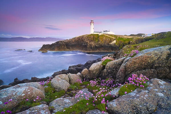 Ireland, Co. Donegal, Fanad, Fanad lighthouse with Sea thrift in foreground at dusk