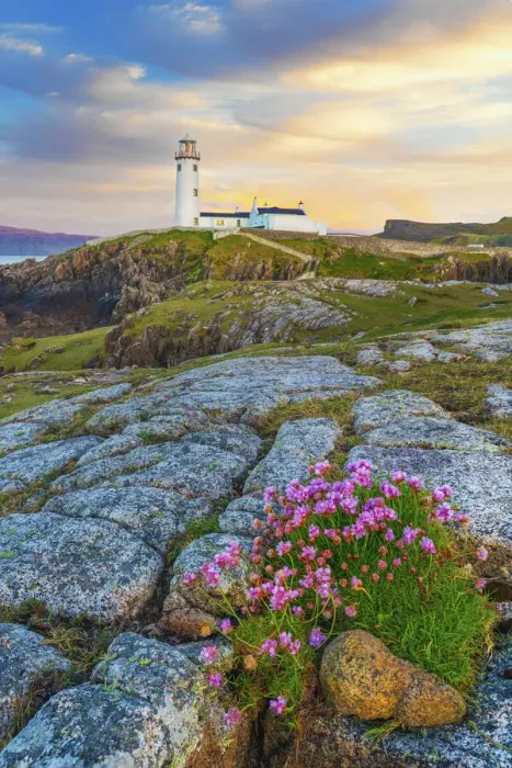 Framed Print : Ireland, Co. Donegal, Fanad, Fanad lighthouse with Sea thrift in foreground Framed Print : Ireland, Co. Donegal, Fanad, Fanad lighthouse with Sea thrift in foreground