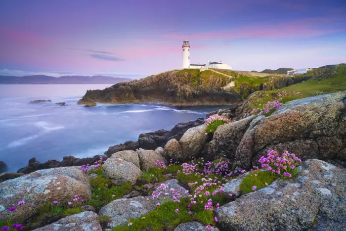 Framed Print : Ireland, Co. Donegal, Fanad, Fanad lighthouse with Sea thrift in foreground at dusk Framed Print : Ireland, Co. Donegal, Fanad, Fanad lighthouse with Sea thrift in foreground at dusk