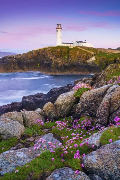 Framed Print : Ireland, Co. Donegal, Fanad, Fanad lighthouse with Sea thrift in foreground at dusk Framed Print : Ireland, Co. Donegal, Fanad, Fanad lighthouse with Sea thrift in foreground at dusk