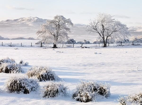 Ireland, Co. Donegal, Milford, snow covered landscape