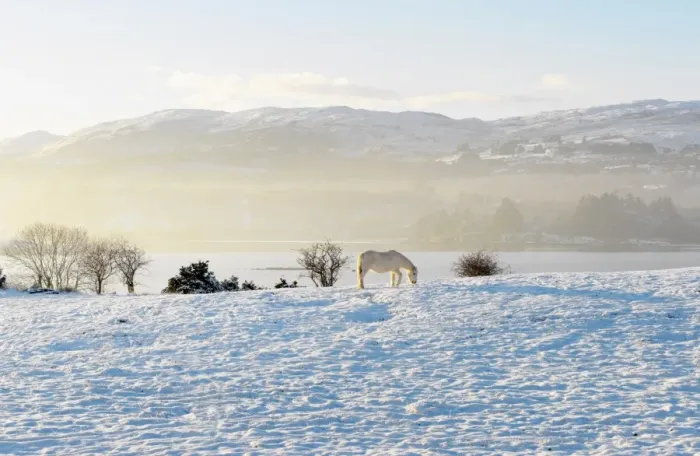 Framed Print : Ireland, Co. Donegal, Milford, snow covered landscape Framed Print : Ireland, Co. Donegal, Milford, snow covered landscape
