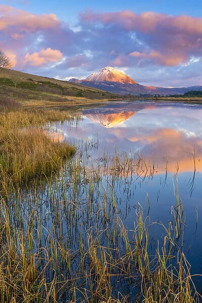 Ireland, Co. Donegal, Snow capped Errigal mountain reflected in Clady river at dusk
