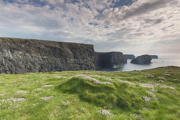 Ireland, County Clare, Kilkee, coastal cliffs