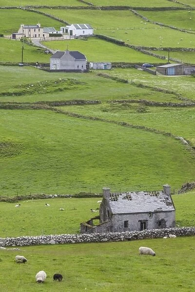 Ireland, County Cork, Beara Peninsula, Ring of Beara, Cahermore, landscape