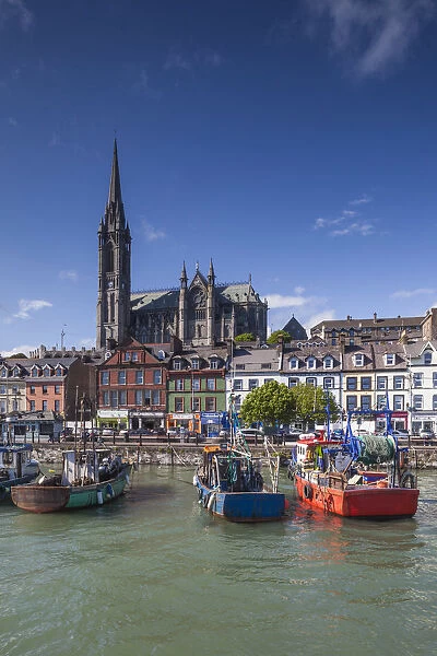 Ireland, County Cork, Cobh, St. Colmans Cathedral from Cobh Harbor