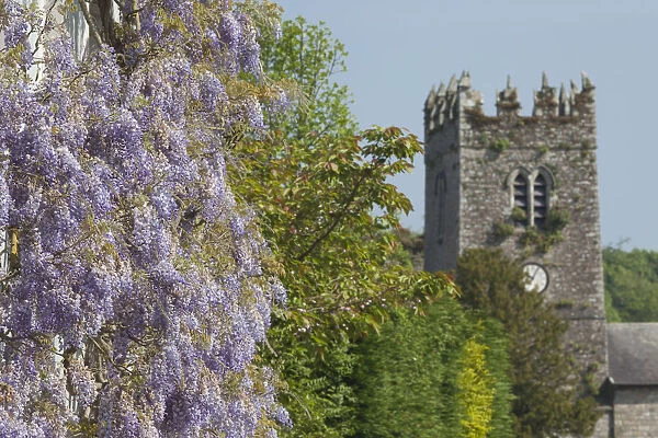 Ireland, County Kilkenny, Inistioge, flower covered house