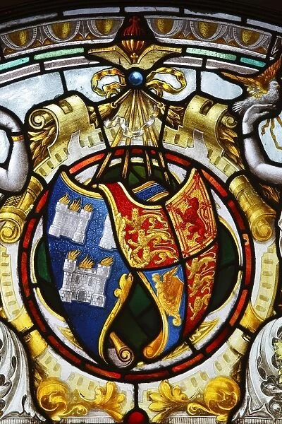 Ireland, Dublin, Kildare Street, The National Library of Ireland, stained glass detail in the grand staircase