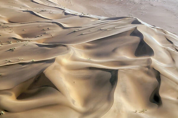 The irregular and peculiar shapes of the dunes of the Namib desert by the Atlantic