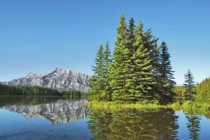 Framed Print : island in Two Jack Lake - Canada, Alberta, Banff National Park Framed Print : island in Two Jack Lake - Canada, Alberta, Banff National Park